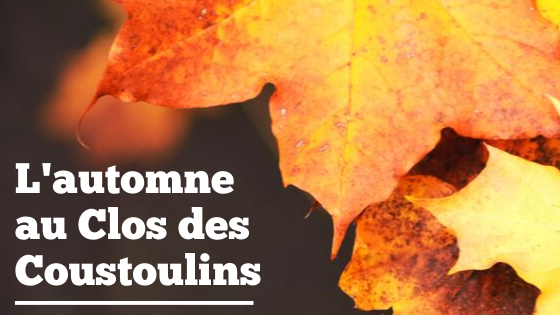 C’est l’automne au Clos des Coustoulins
