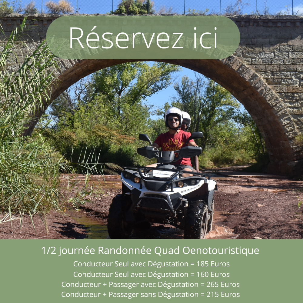 Randonnée Quad Oenotouristique